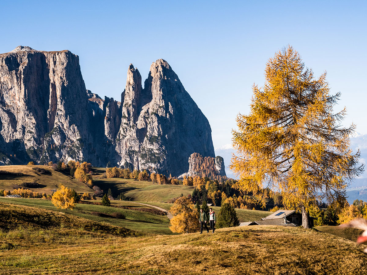 Ihr Herbsturlaub In Südtirol – Seiser Alm Im Herbst ᐅ